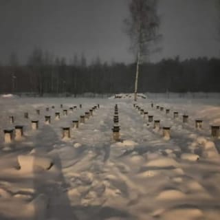 Фундаменты под ключ